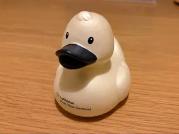 루프트한자 퍼스트 클래스터미널 덕 2025