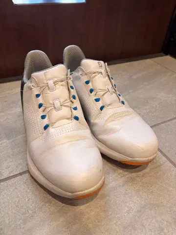 골프화 화이트 풋조이 스파이크리스 BOA