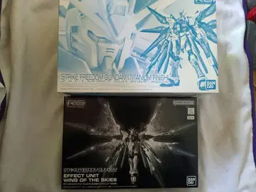 RG 스트라이크 프리덤 건담 티타늄 피니쉬 천공의 날개