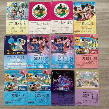 디즈니 리조트 라인 프리 티켓 기사용 12장 묶음 판매