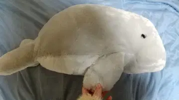 프라이즈 듀공 봉제 인형