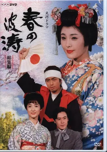 일본 국내 드라마 DVD 마츠자카 케이코 대하드라마 봄의 파도 총집편