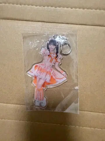 하나마루 페코 투어 파이널 가라폰 D상 실사 아크릴 키링