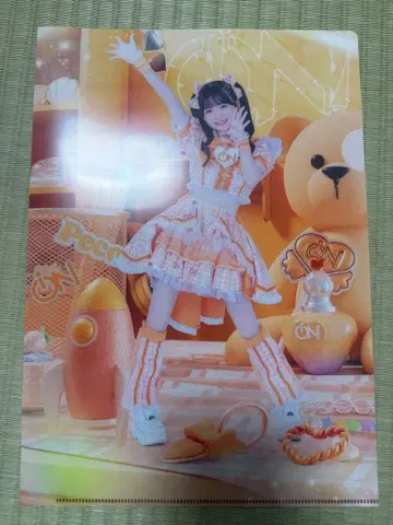 하나마루 페코 투어 파이널 가라폰 F상 클리어 파일