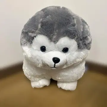 동글동글 강아지 모후마루 봉제 인형 알래스칸 말라뮤트 아기