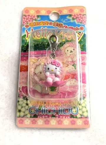 지역 한정 키티 찰주머니 사이타마 한정판 지치부 양산 버전 스트랩