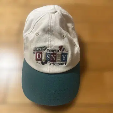도쿄 디즈니 리조트 디즈니 캡