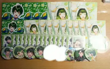 스타포라 키사라기 유우