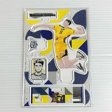 하이큐 우시지마 와카토시 v리그 명장면 디오라마 피규어