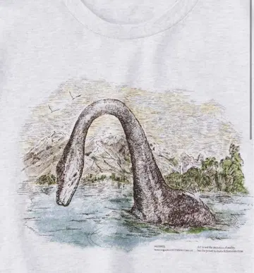 NICENESS 25AW G.BERNARD / NESSIE (H.G)