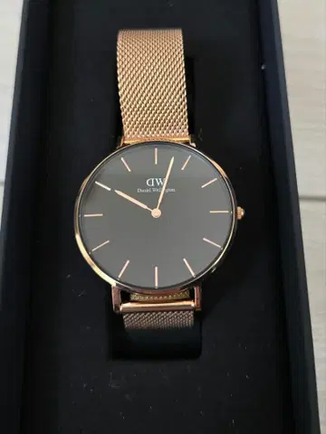 다니엘 웰링턴 여성용 쿼츠 로즈 골드