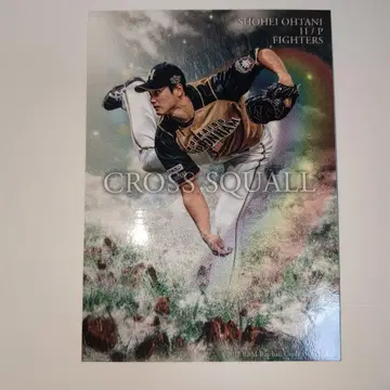 오타니 쇼헤이 니치햄 CROSS SQUALL