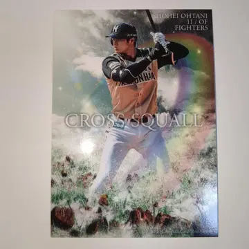 오타니 쇼헤이 니치햄 CROSS SQUALL
