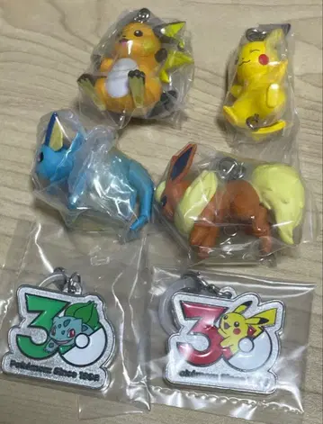 포켓몬 30주년 메탈 참 메지루시 집어서 잇는 마스코트