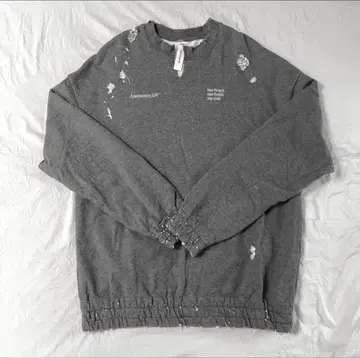 SHINYAKOZUKA DAMAGED ORDINARY GIANT CREW