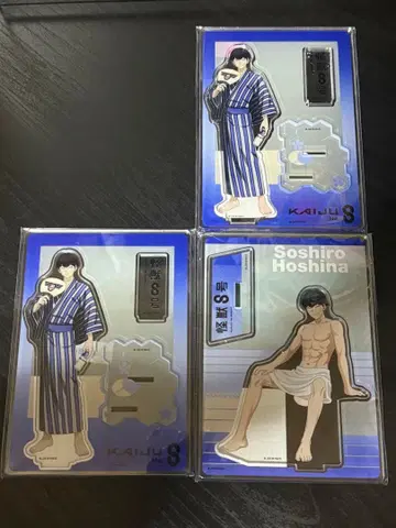 괴수 8호 호시나 소우시로