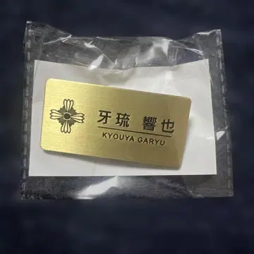 캡슐 복권 역전재판 메모리 오브 검사 D상 가류 쿄야