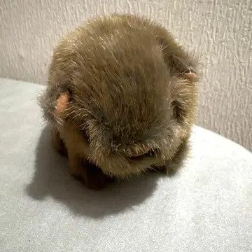 인테리어 입상 봉제 인형 카피바라 브라운