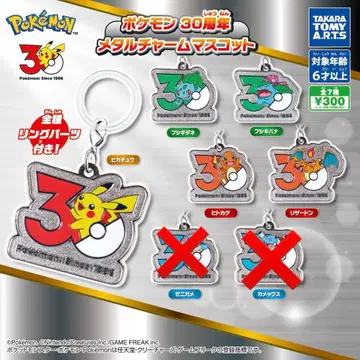 [ 5종류 ] 포켓몬 30주년 메탈 참 마스코트