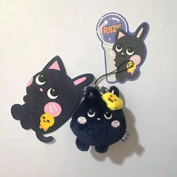 토냥도크 원빈 봉제 인형 키링 스티커 RIIZE