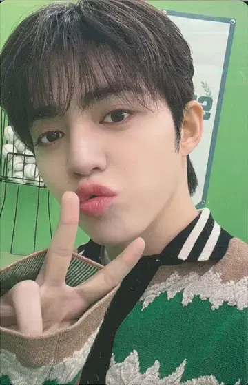 세븐틴 에스쿱스 2025 캐럿랜드 76