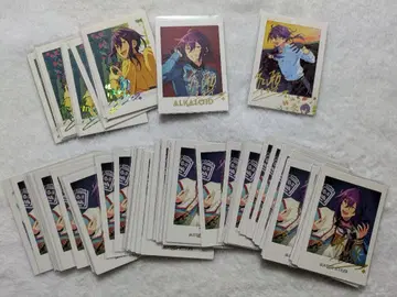 앙스타 파샤코레 파샤츠 마요이