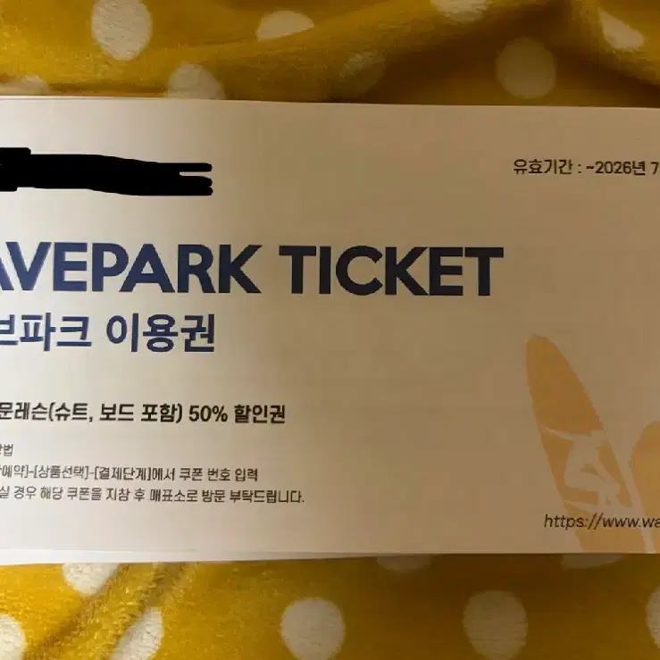 웨이브파크 서핑입문레슨 입장권