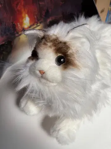 SEGA KIWIT 고양이용 봉제 인형