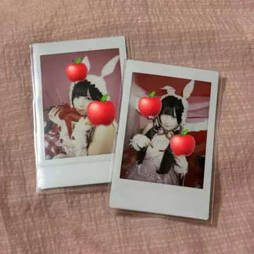 신기루 아무 폴라로이드 란체키