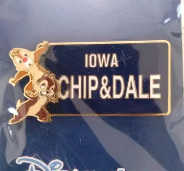 레어! 레트로 DS ACROSS AMERICA 칩 앤 데일