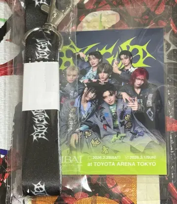 용궁성 리미티드 패스&넥스트랩 기라리