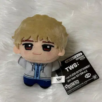 TWS 플롯 트위스트 SD 인형 경민 KYUNGMIN 택 포함