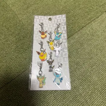 포켓몬 센터 이브이 메탈 참 8개 세트