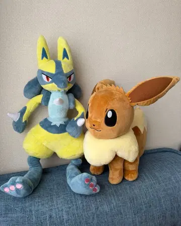 포켓몬스터 포켓몬 옐로우 컬러 루카리오 이브이 봉제 인형 세트