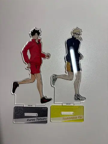 하이큐 아크릴 스탠드 쿠로오 테츠로 츠키시마 케이