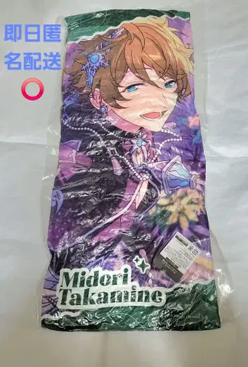 앙스타 빅 쿠션 GiGO 한정판 타카미네 미도리