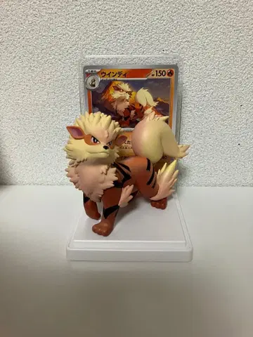 포켓몬 카드 & 피규어 컬렉션 윈디