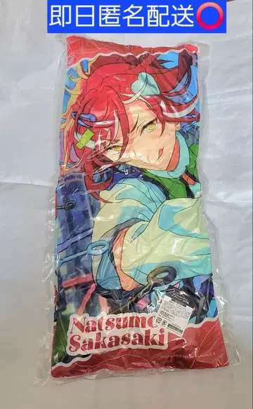 앙스타 빅 쿠션 GiGO 한정판 사카사키 나츠메