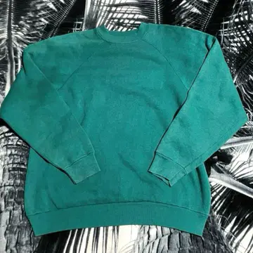 80s USA제 빈티지 Steinwurtzel 블랭크 맨투맨