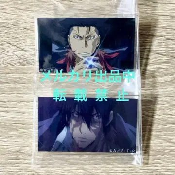 XANXUS 돌진 스토어 아크릴 배지 REBORN 리본 바리아