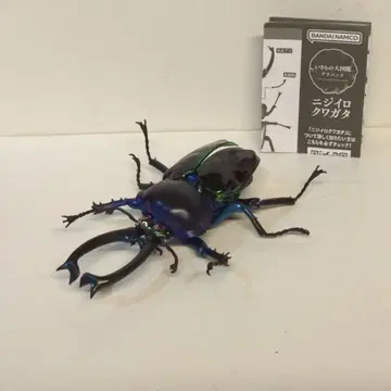 반다이 생물대도감 어드밴스 무지개사슴벌레 무지개사슴벌레(다크 블루)