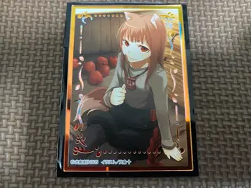 늑대와 향신료 트레이딩 오로라 아크릴 카드 2025 ver.B 2