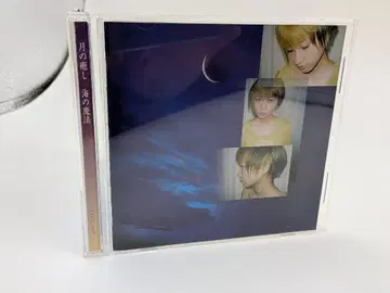 오비 포함 드림 돌핀/달의 치유 바다의 마법