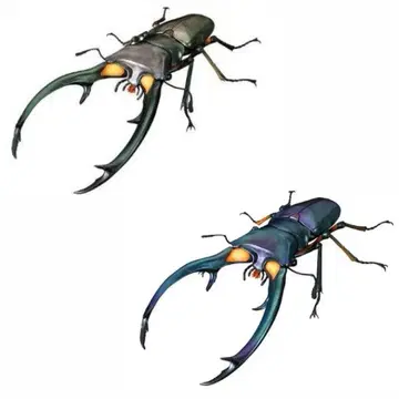 생물대도감 어드밴스 사슴벌레02 에라푸스 넓적사슴벌레 2종 세트