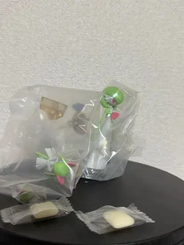 내부 가방 미개봉 포켓몬 스케일 월드 서나이트 랄토스 킬리아 힌바스