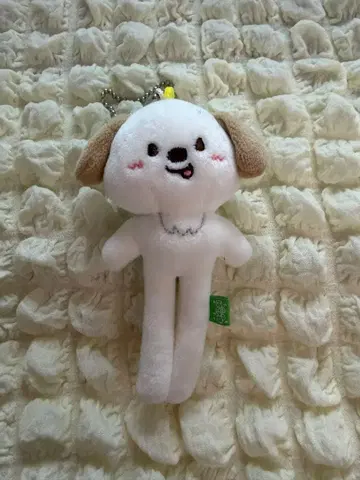 RIIZE 라이즈 앤톤 몽룡이 롱 키링 발길이 키링