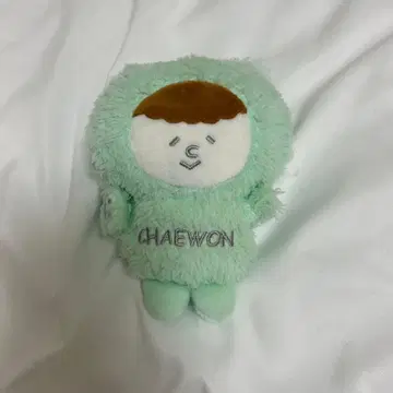 IZ*ONE 아이즈원 채원 봉제 인형