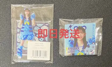 보쿠가 미타캇타 아오조라 하야사키 스즈키 친 타이거 아크릴 스탠드 키링