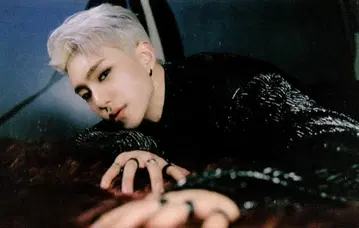 SEVENTEEN HOSHI Spider 22