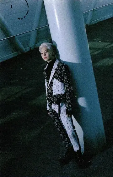 SEVENTEEN HOSHI Spider 16